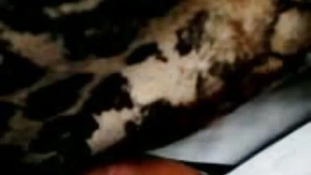 Mojado bbw Duro porno latino colombiano consolador