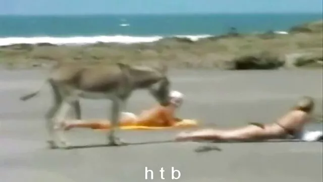 montando la polla de mi marido al revés porno latino americano